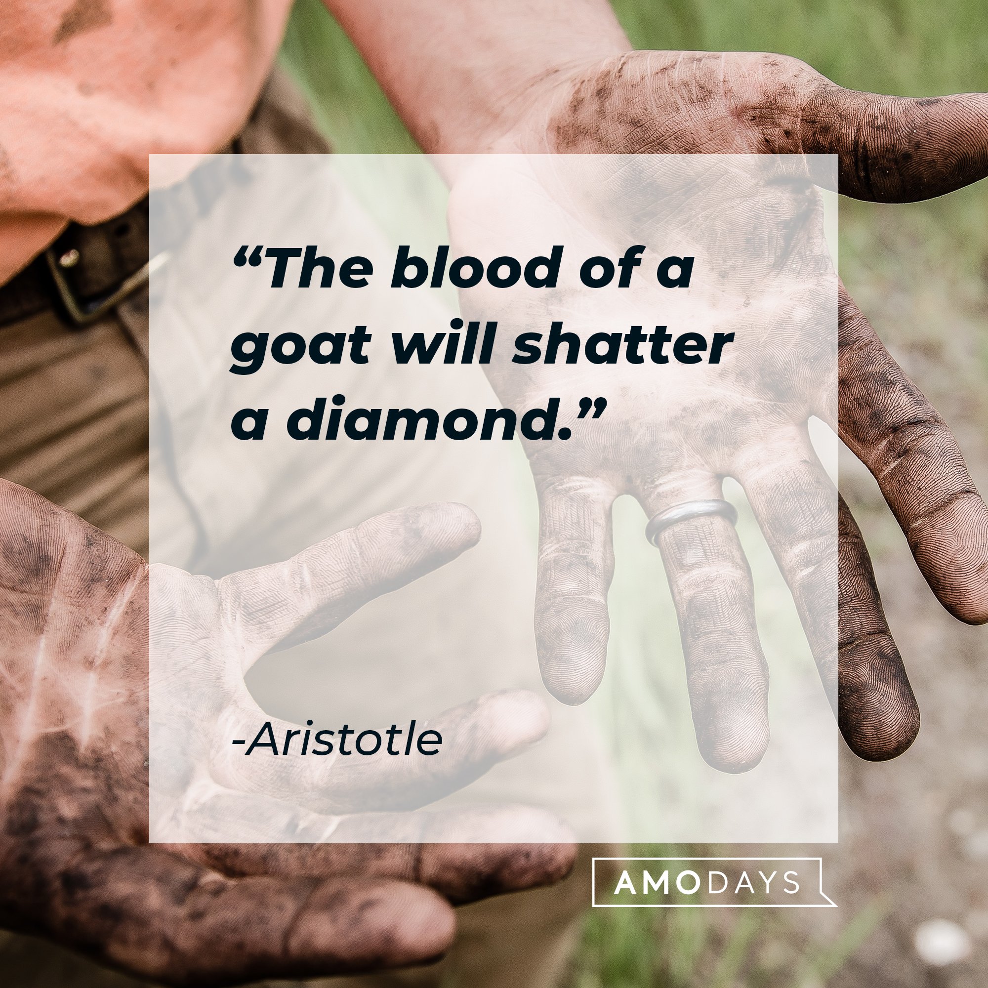 Aristotle’s quote: "The blood of a goat will shatter a diamond." | Image: AmoDays 