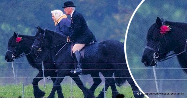 Queen Elizabeth went horse riding and specially decorated her mount with meaningful flowers