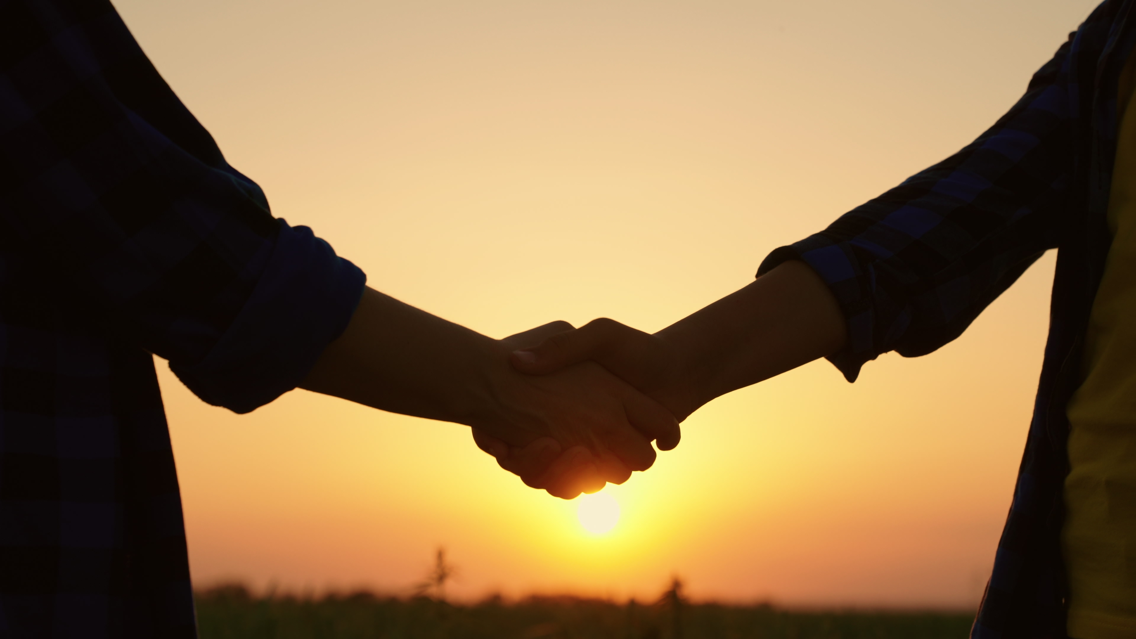 Business people shake hands | Source: Shutterstock
