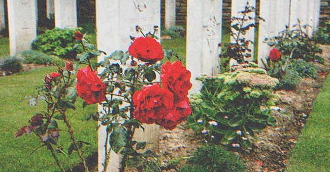 Stephen wollte wissen, wer Rosen auf das Grab seiner Frau gepflanzt hat. | Quelle: Shutterstock