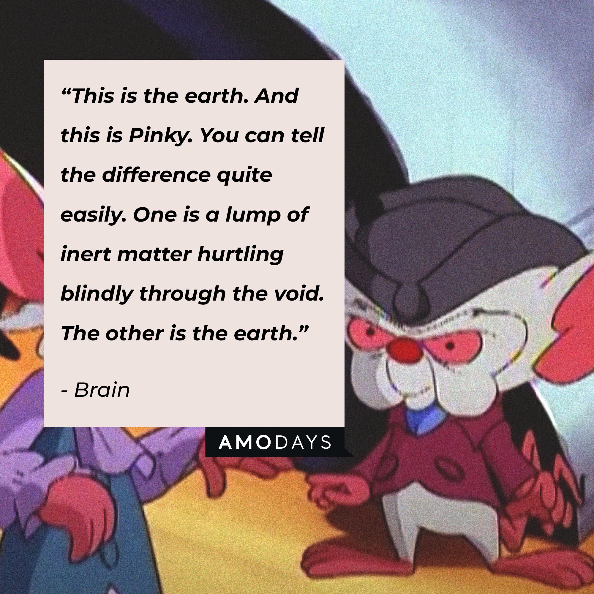 Brain's quote: “This is the earth. And this is Pinky. You can tell the difference quite easily. One is a lump of inert matter hurtling blindly through the void. The other is the earth.” | Image: AmoDays