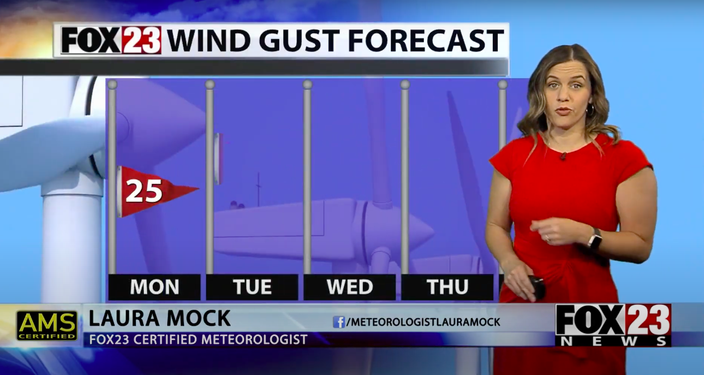 Here’s Why Fox Meteorologist Laura Mock’s Hair on TV Broadcast Caused ...