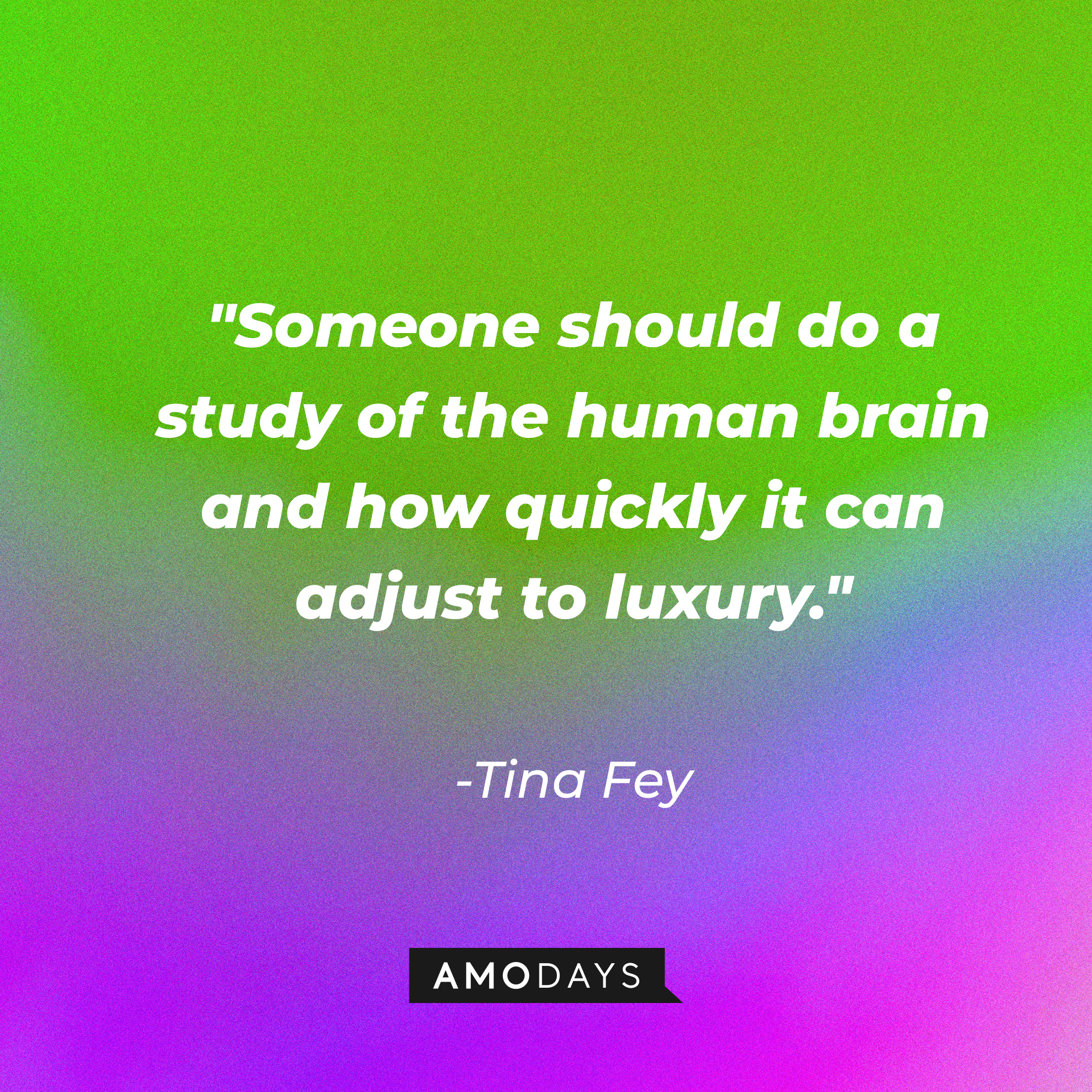 Tina Fey's quote: "Someone should do a study of the human brain and how quickly it can adjust to luxury." | Source: AmoDays