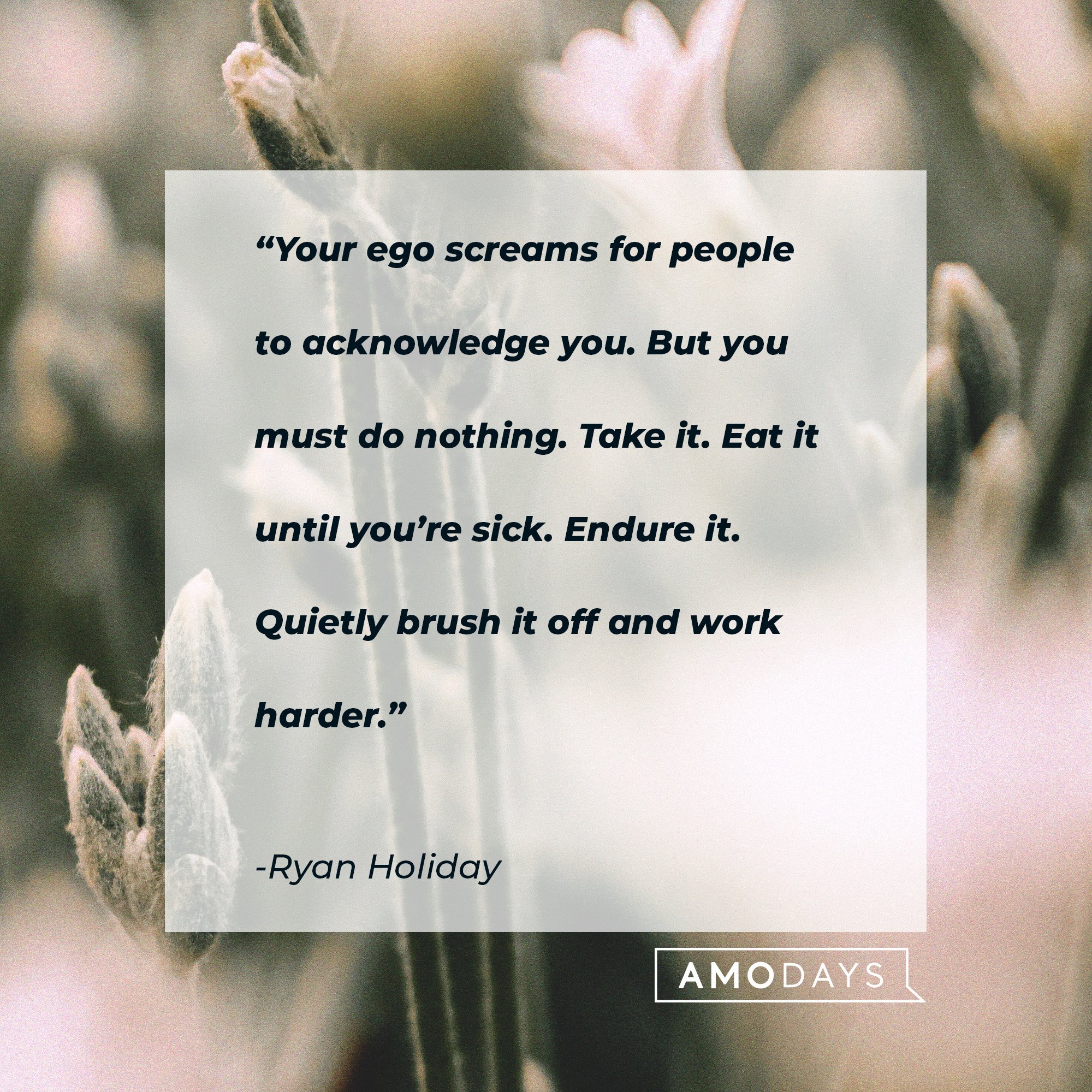 Ryan Holiday's quote: “Your ego screams for people to acknowledge you. But you must do nothing. Take it. Eat it until you’re sick. Endure it. Quietly brush it off and work harder.” | Image: AmoDays
