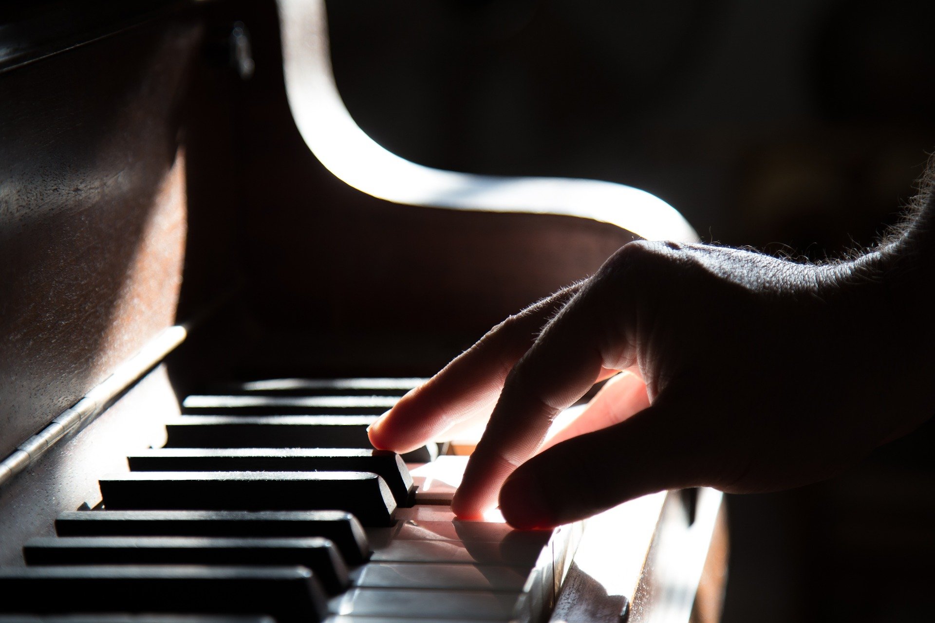Une main sur un piano. | Photo : Pixabay