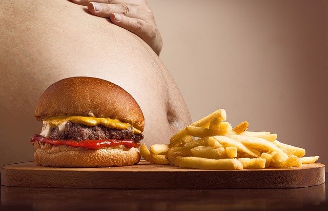 Obesidad y comida rápida. Fuente: Pixabay Obesidad y comida rápida. Fuente: Pixabay