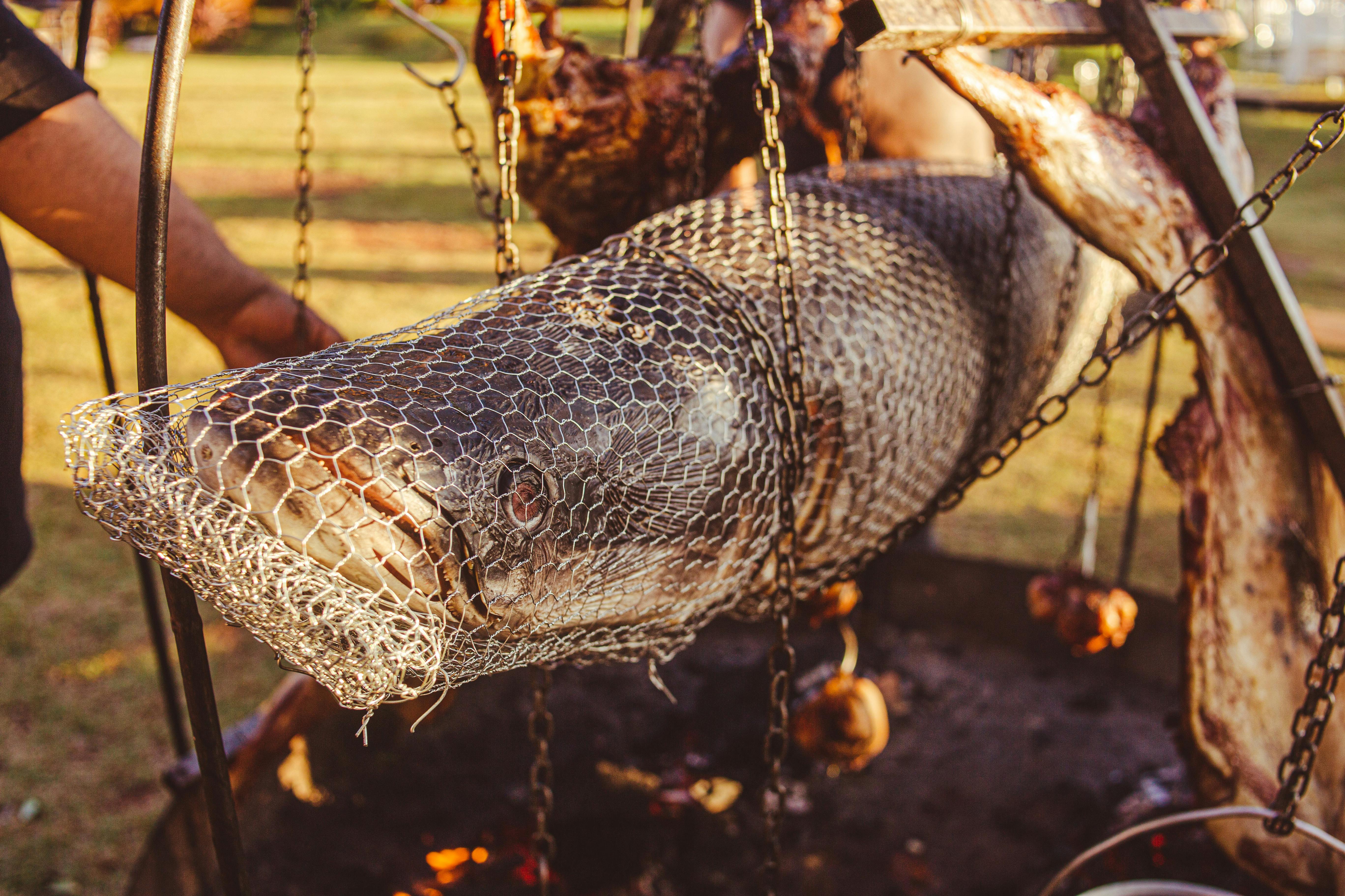 Big fish caught in with a fishnet | Source: Pexels