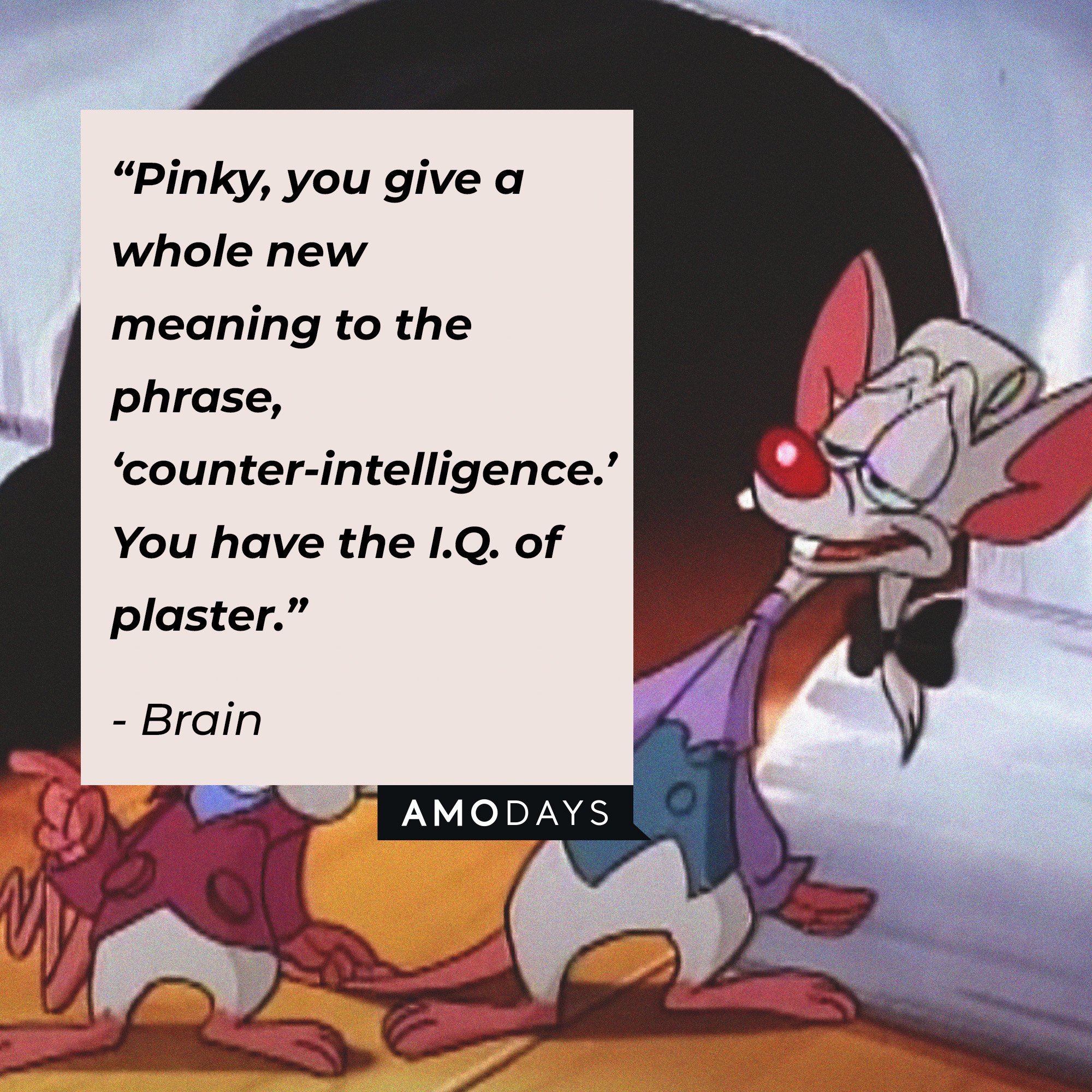 Brain's quote: “Pinky, you give a whole new meaning to the phrase, ‘counter-intelligence.’ You have the I.Q. of plaster.” | Image: AmoDays