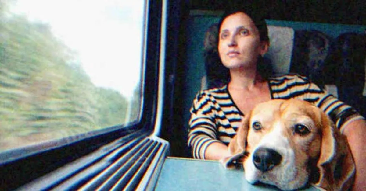 Eine Frau schaut mit ihrem Hund aus dem Zugfenster. | Source: Shutterstock