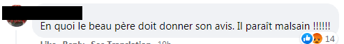 Capture d'écran du commentaire d'un internaute sur Facebook | Photo : Facebook/FamillesNombreusesTF1/