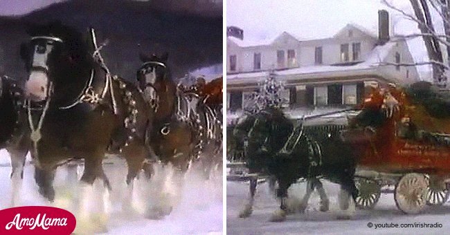 Budweiser Clydesdale bewitched us in 1987 and it still does nearly 30 years later