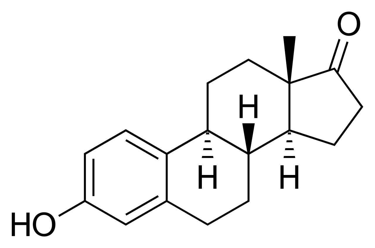 Estructura del estrógeno. | Imagen: Wikipedia