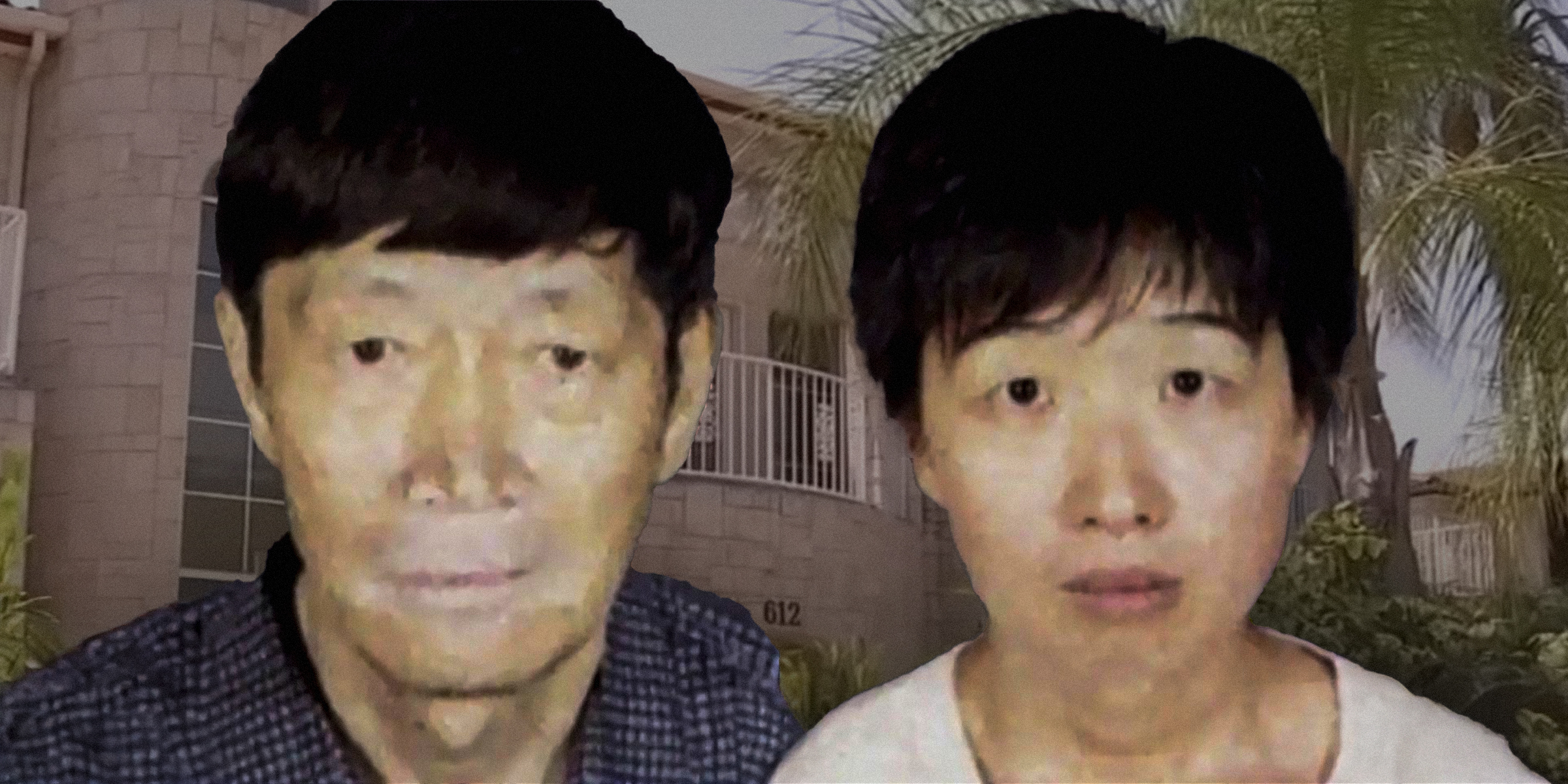 Guojun Xuan and Silvia Zhang | Source: Facebook/thehodgetwins | Youtube/ABCNews