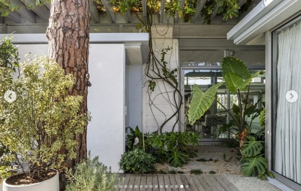 Lush vegetation surrounds another outdoor section of the property, where a large tree trunk, climbing vines, and broad-leaf plants soften the home's geometric architecture. Glass doors and windows look back into the residence, illustrating how the 1963 design repeatedly blurred the boundary between the interiors and gardens. | Source: Instagram/jparkerstanton