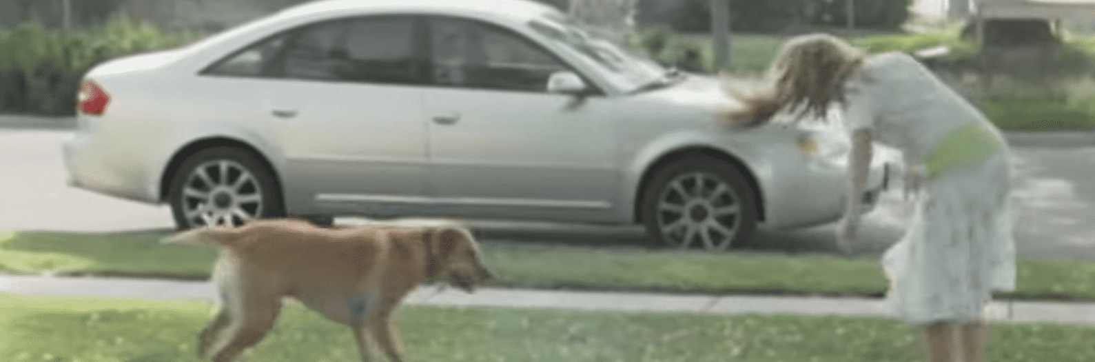 Kaylee spielt draußen mit ihrem Hund. | Quelle: Youtube.com/ABC News