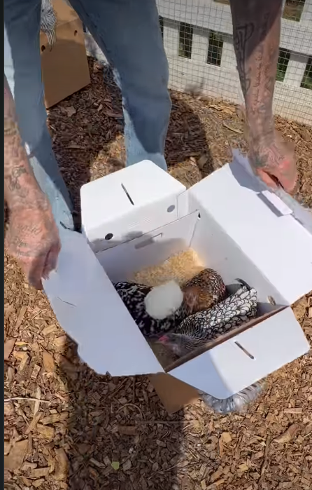 David Beckham unboxing his gifts | Source: Instagram/victoriabeckham