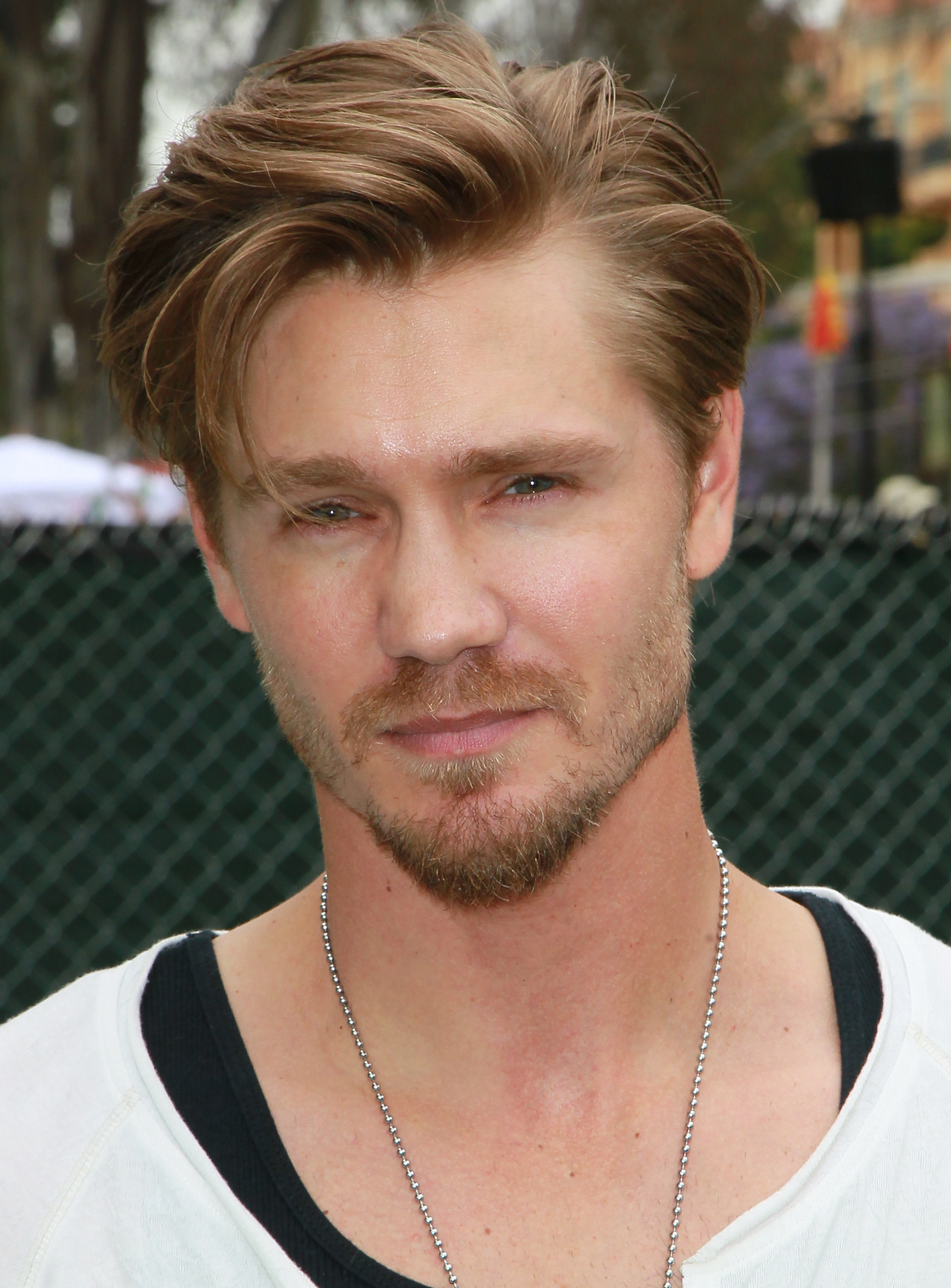 Chad Michael Murray at the Elizabeth Glaser Pediatric AIDS Foundation's "A Time For Heroes Event" on June 12, 2011, in Los Angeles, California | Source: Getty Images