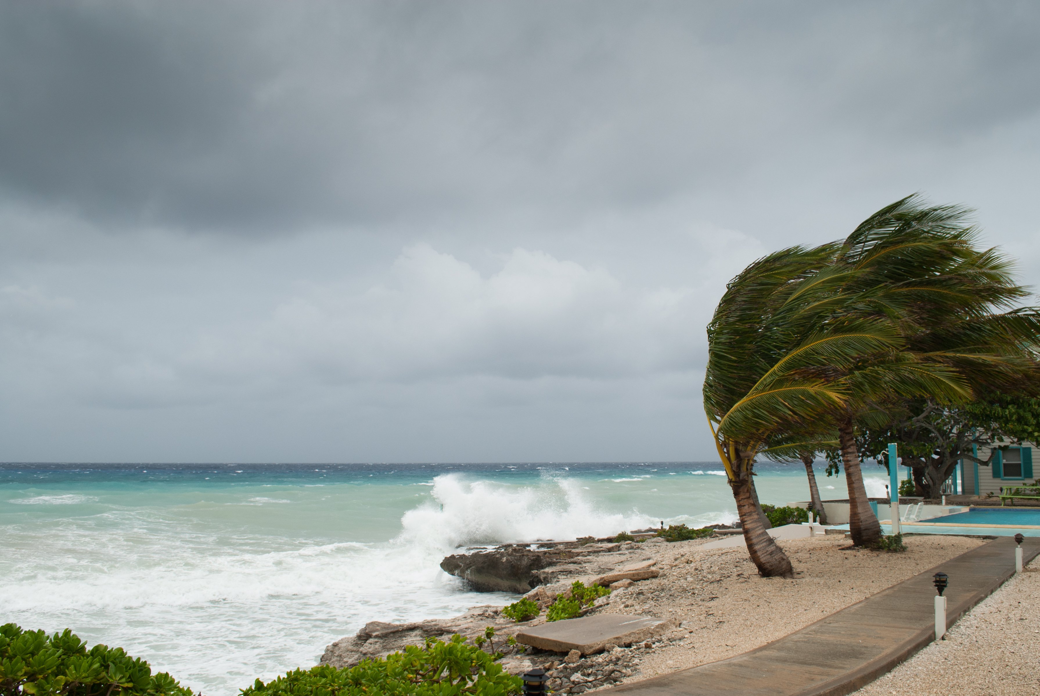 A windy beach scene. | Photo: Shutterstock