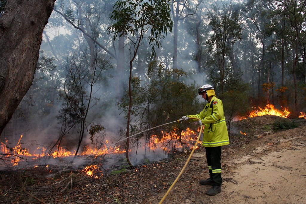 A firefighter working on a wildfire scene on September 04, 2020 in Sydney, Australia | Photo: Getty Images
