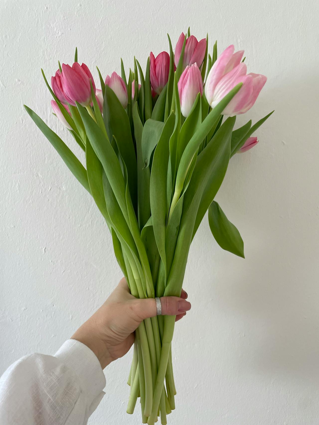 Cropped shot of a woman holding a bunch of pink tulips | Source: Pexels