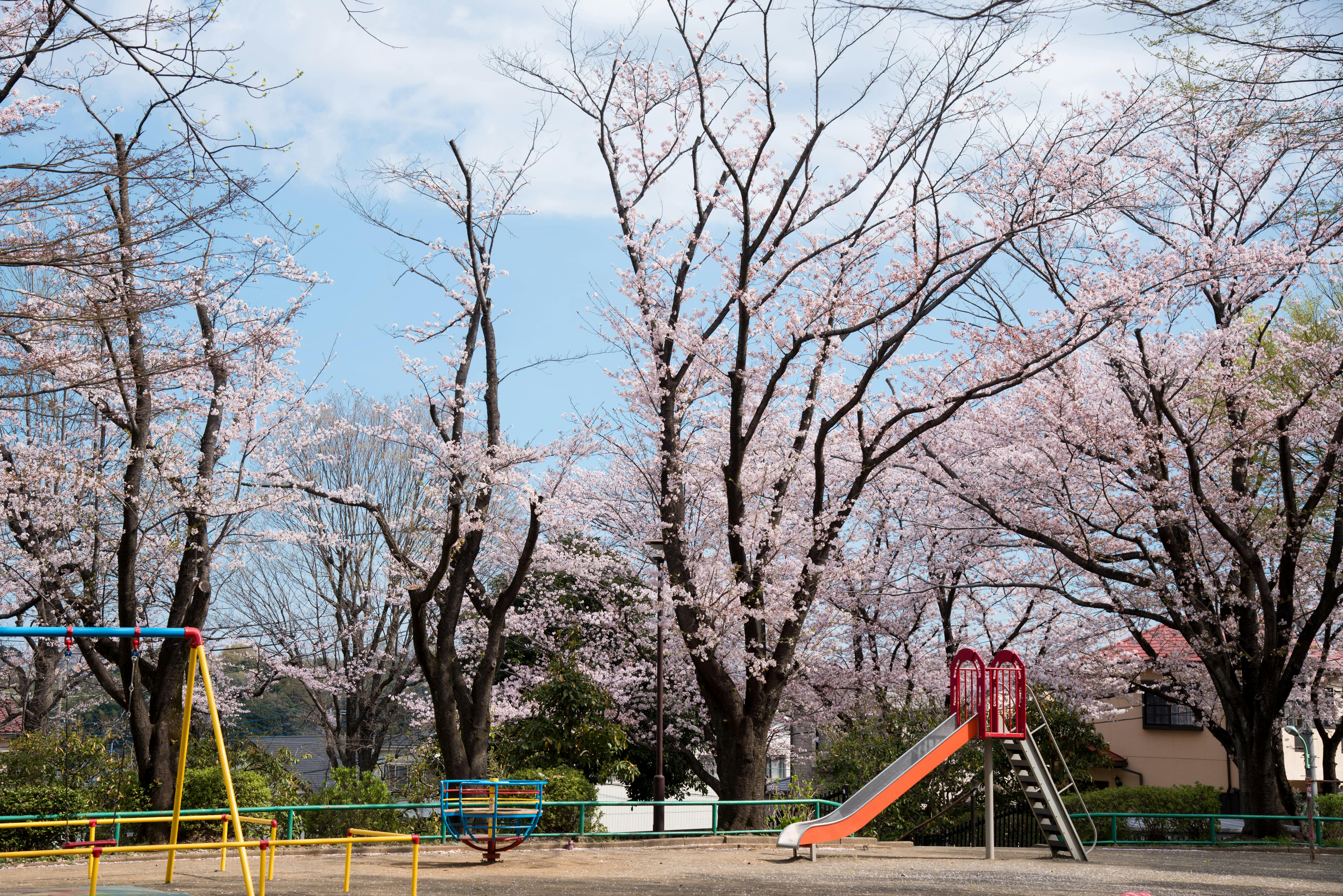 A playground | Source: Pexels