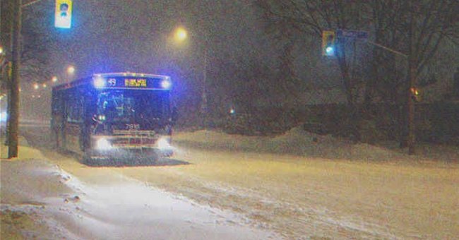 Autobús circulando en carretera bajo la nieve. | Foto: Shutterstock