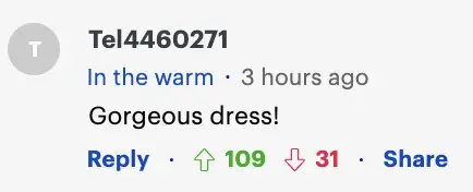 A screenshot of a commenter praising Andie MacDowell's dress for her daughter's wedding. | Source: DailyMail