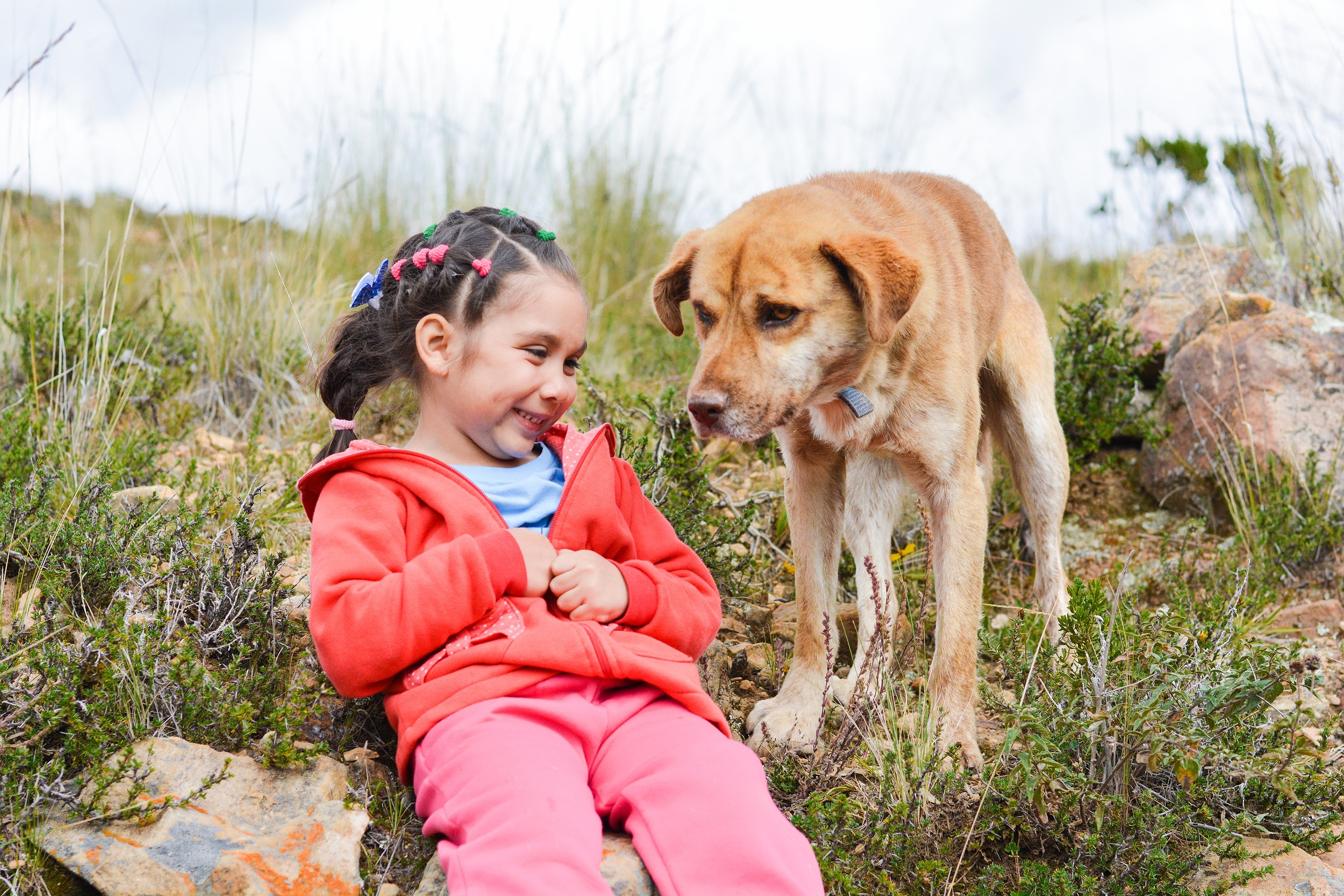 Una niña se divierte junto a un perro. Fuente: YouTube / OkaloosaSheriff Una niña se divierte junto a un perro. Fuente: YouTube / OkaloosaSheriff