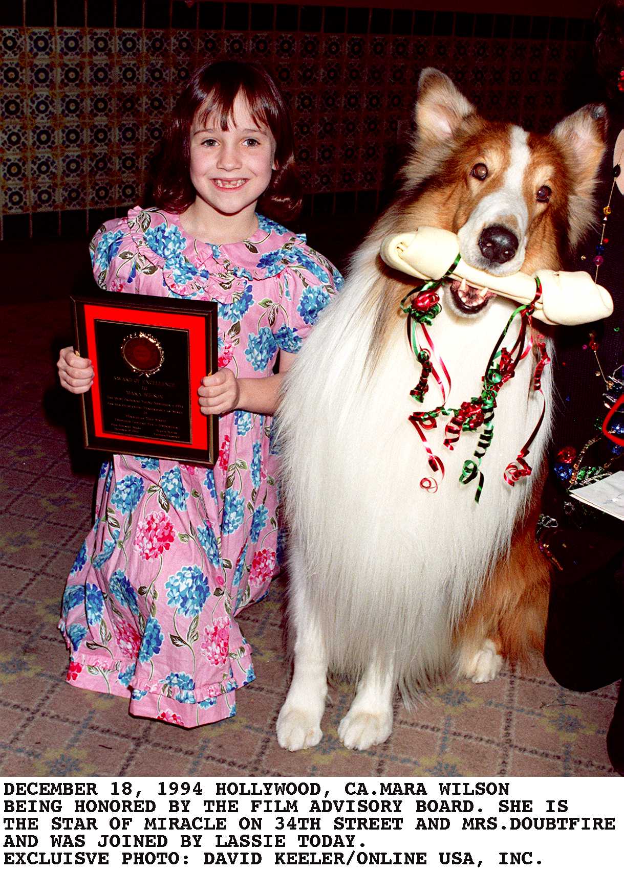 Mara Wilson and Lassie being honored by the film advisory board on December 16, 1994 in Los Angeles, California. | Source: Getty Images