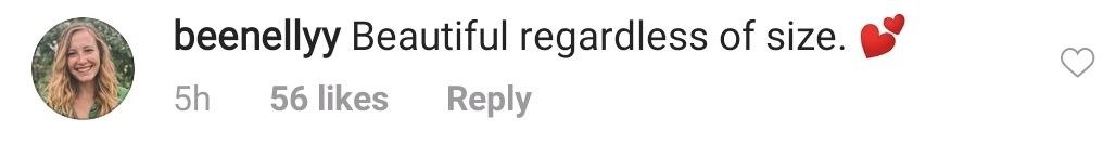 A screenshot of a fan's comment on Rebel Wilson's Instagram Page. | Photo: Instagram/rebelwilson