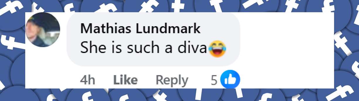 A netizen's comment on Millie Bobby Brown's reaction at the UK "Stranger Things" season 5 premiere dated November 14, 2025 | Source: Facebook/Page Six