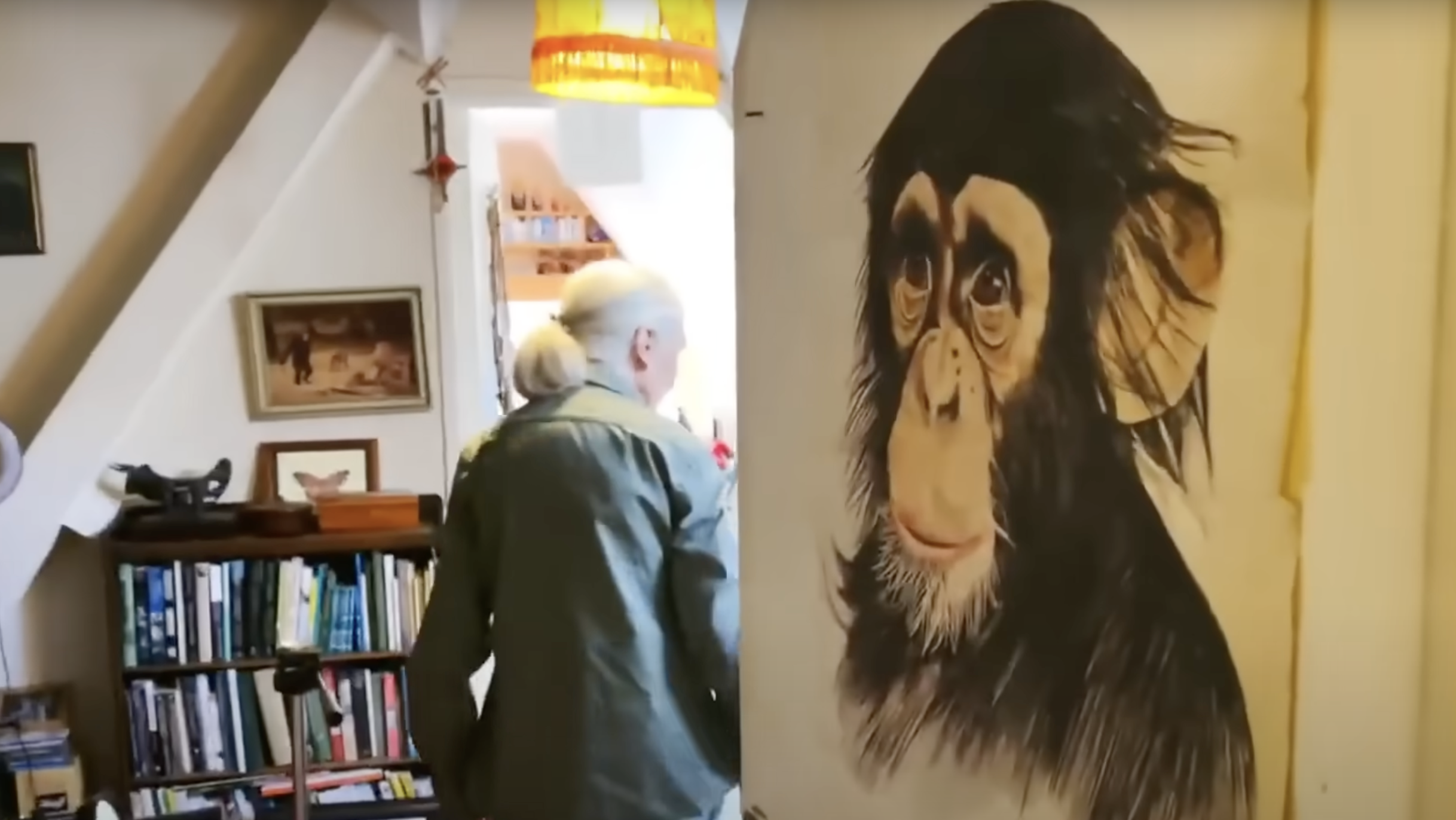 Jane Goodall walks through a cozy hallway lined with bookshelves and framed art. A large illustrated portrait of a chimpanzee is partially visible on the adjacent wall. | Source: YouTube/@CBSSundayMorning