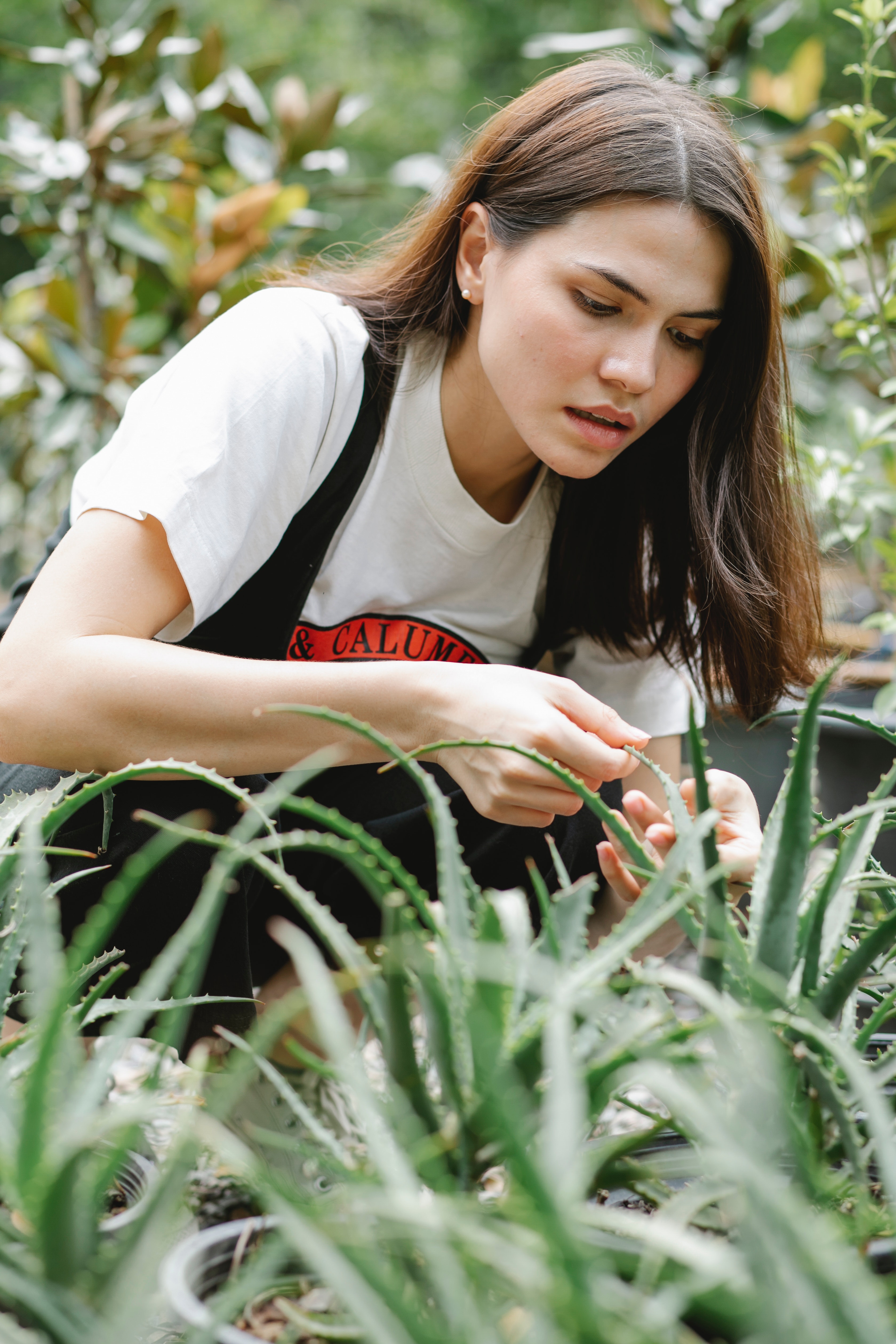 A woman exploring a patch of aloe vera plants. | Source: Pexels