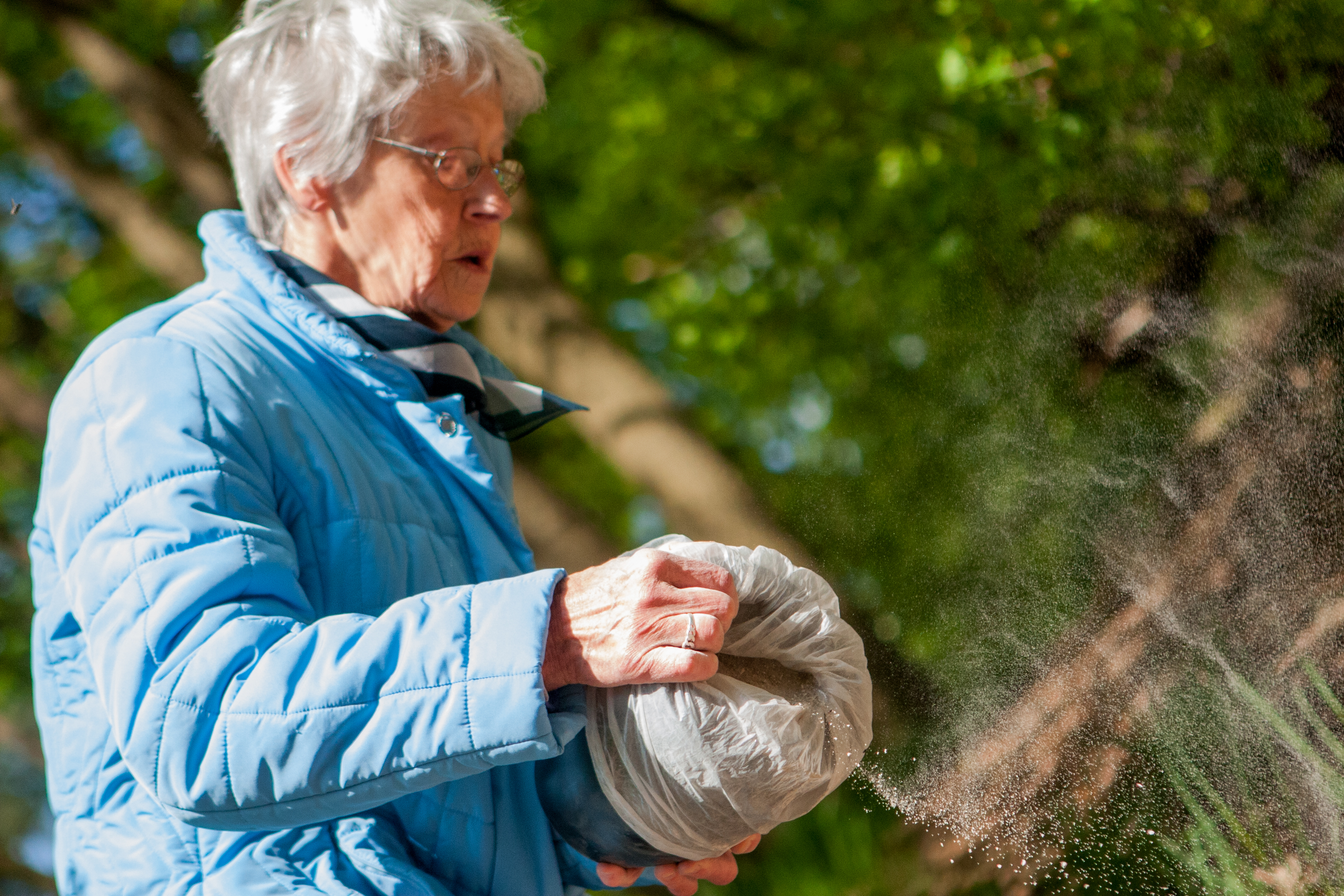 An older lady spreads ashes of a loved one in a forest | Source: Shutterstock