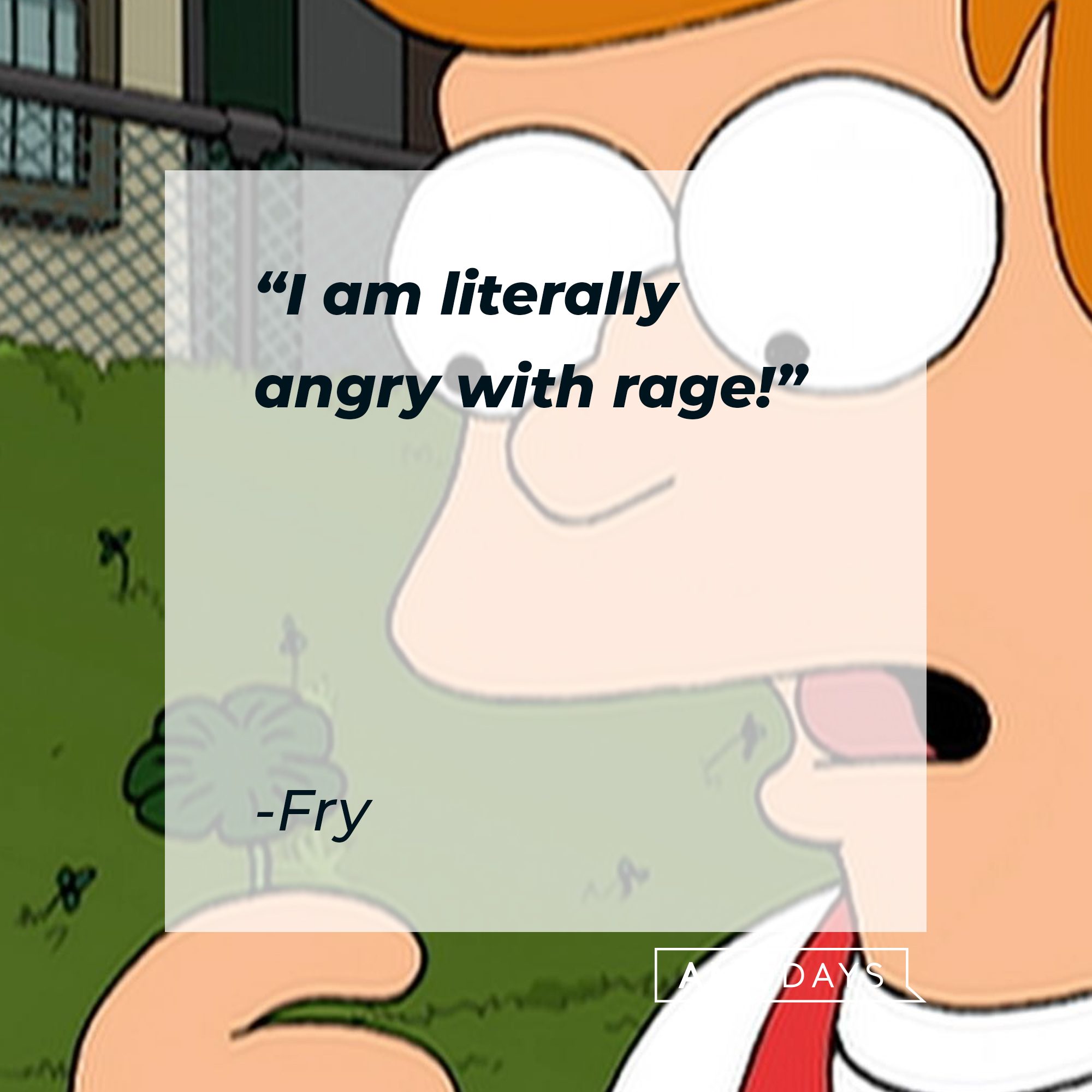 Fry Futurama's quote: "I am literally angry with rage!" | Source: Facebook.com/Futurama