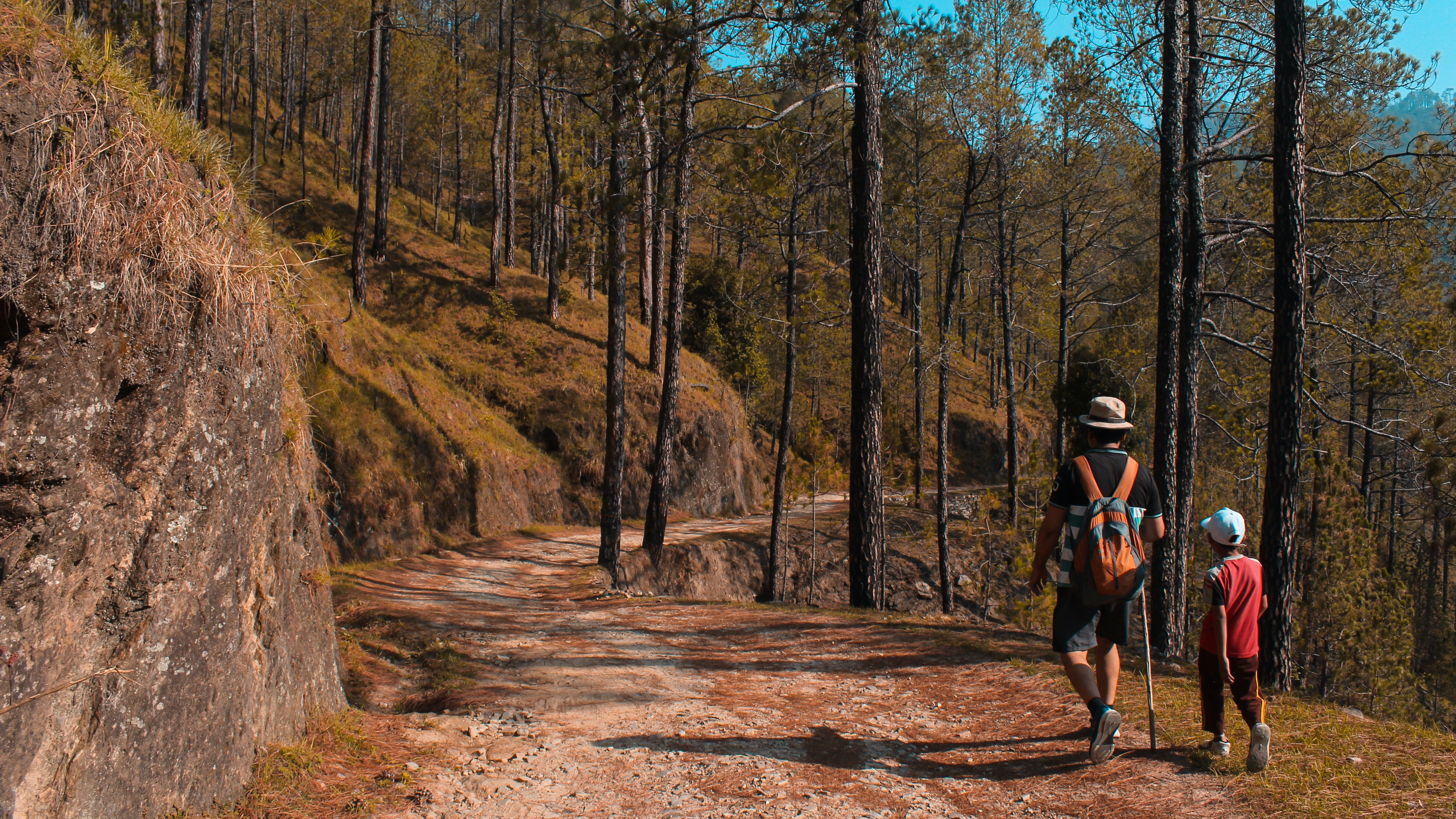 Justin and his dad hiked back to the campsite with the box. | Photo: Pexels