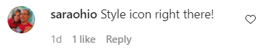 A fan's comment under a picture posted by Van Hunt on his Instagram | Photo: Instagram/vanhunt