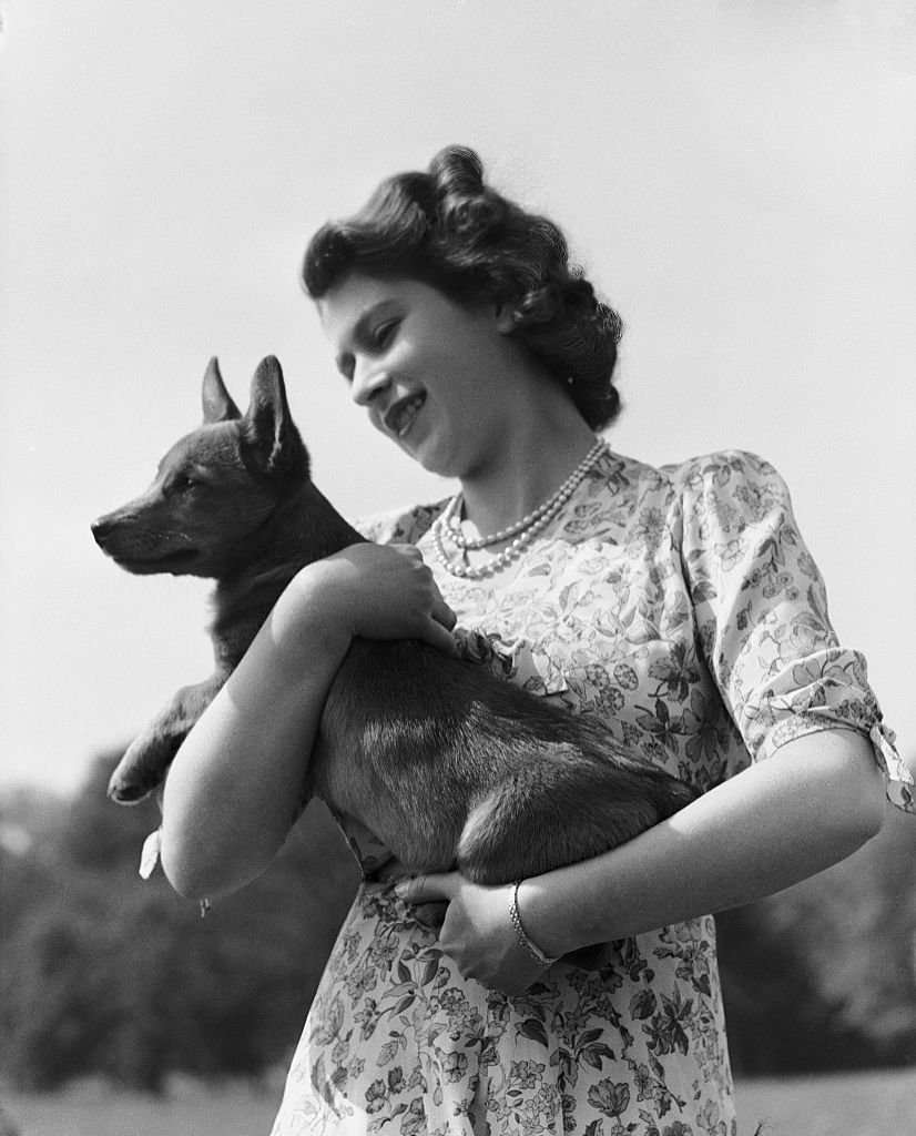 La princesse Elizabeth avec son Corgi Sue ou Susan au château de Windsor, Royaume-Uni, le 30 mai 1944. | Photo : Getty Images