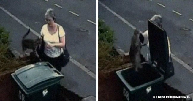 Woman pretends to be petting a cat, doesn't realize her next cruel act is filmed by a hidden camera