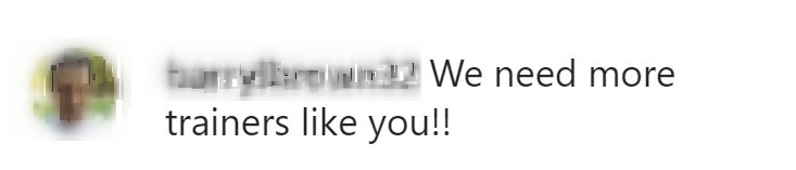 A fan comments on Rebel Wilson's exercise routine on Instagram on September 27, 2020 | Photo: Instagram/rebelwilson