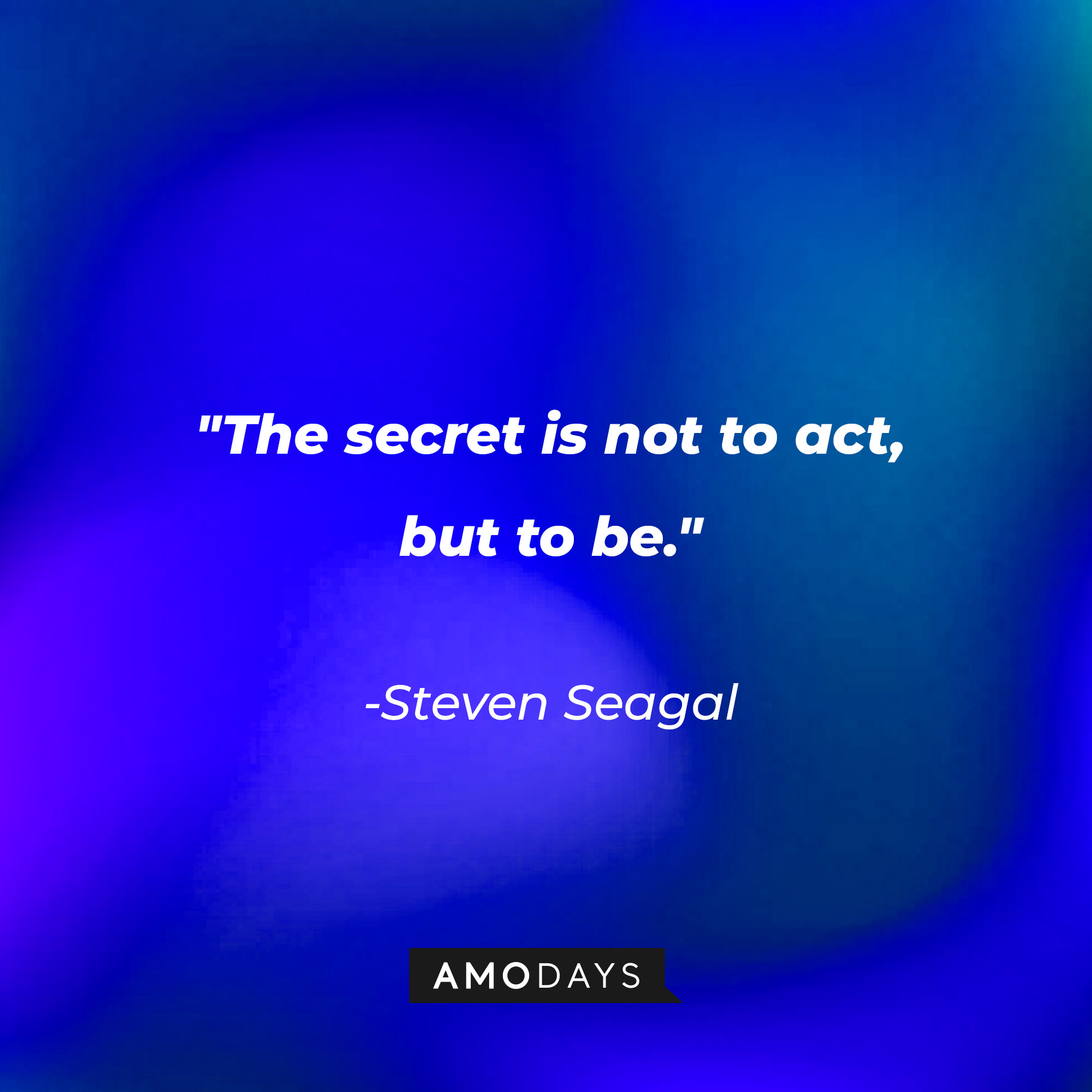Steven Seagal’s quote: "The secret is not to act, but to be." | Image: AmoDays