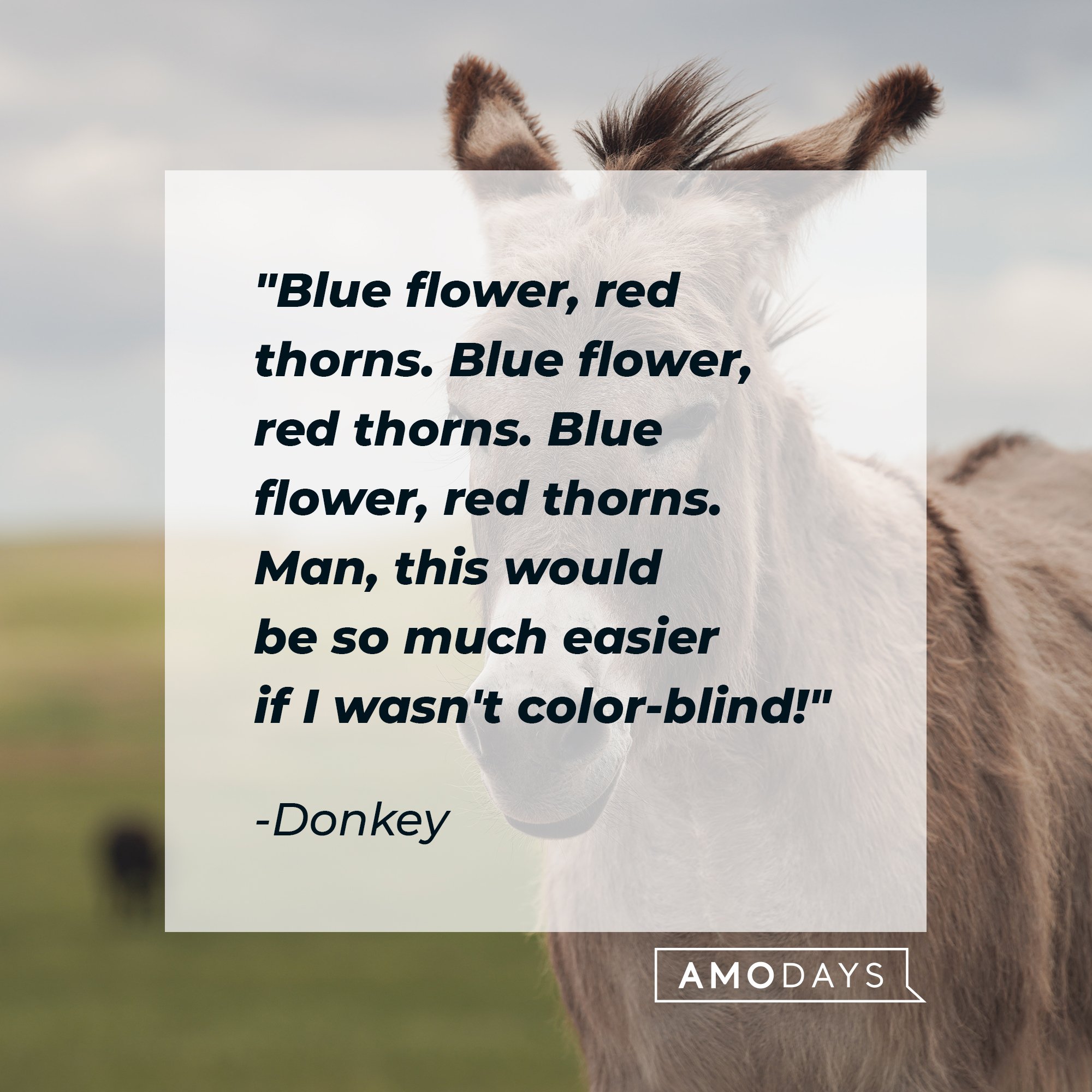  Donkey's quote: "Blue flower, red thorns. Blue flower, red thorns. Blue flower, red thorns. Man, this would be so much easier if I wasn't color-blind!" | Image: AmoDays