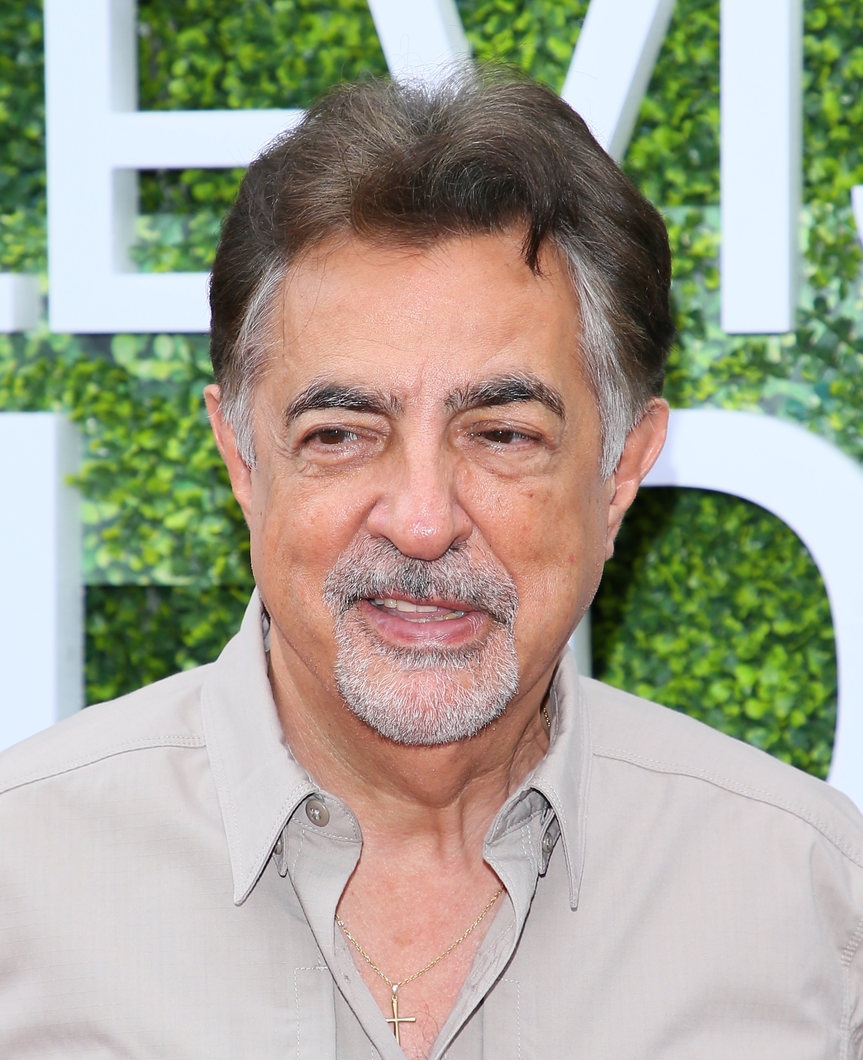 Joe Mantegna at the Summer TCA Tour in Studio City, California on August 1, 2017 | Source: Getty Images