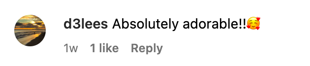 A screenshot of a comment talking about Linda Thompson's photos posted on August 13, 2023 | Source: Instagram/ltlindathompson
