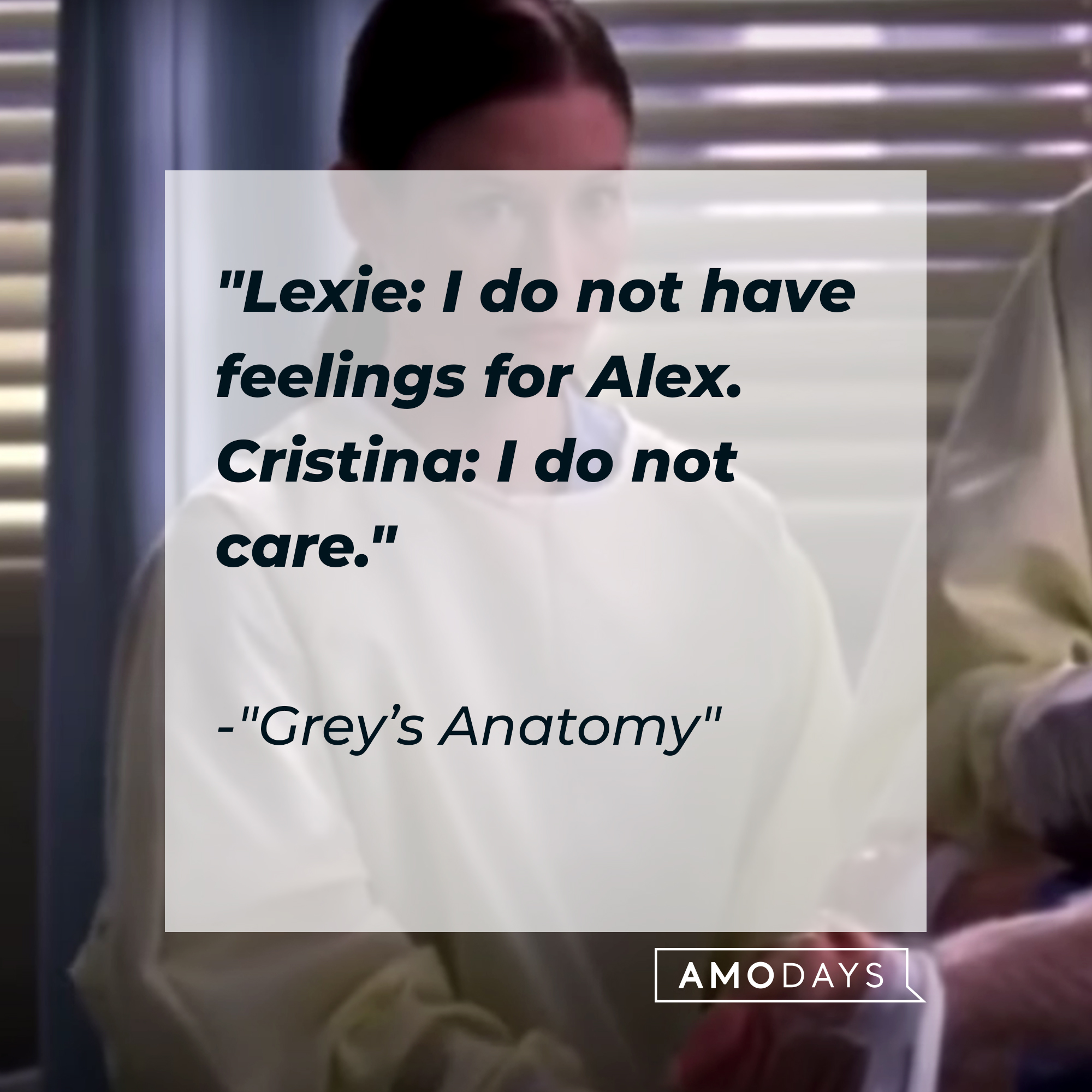 Lexie Grey with her quote: "Lexie: I do not have feelings for Alex. ; Cristina: I do not care." | Source: Facebook.com/GreysAnatomy