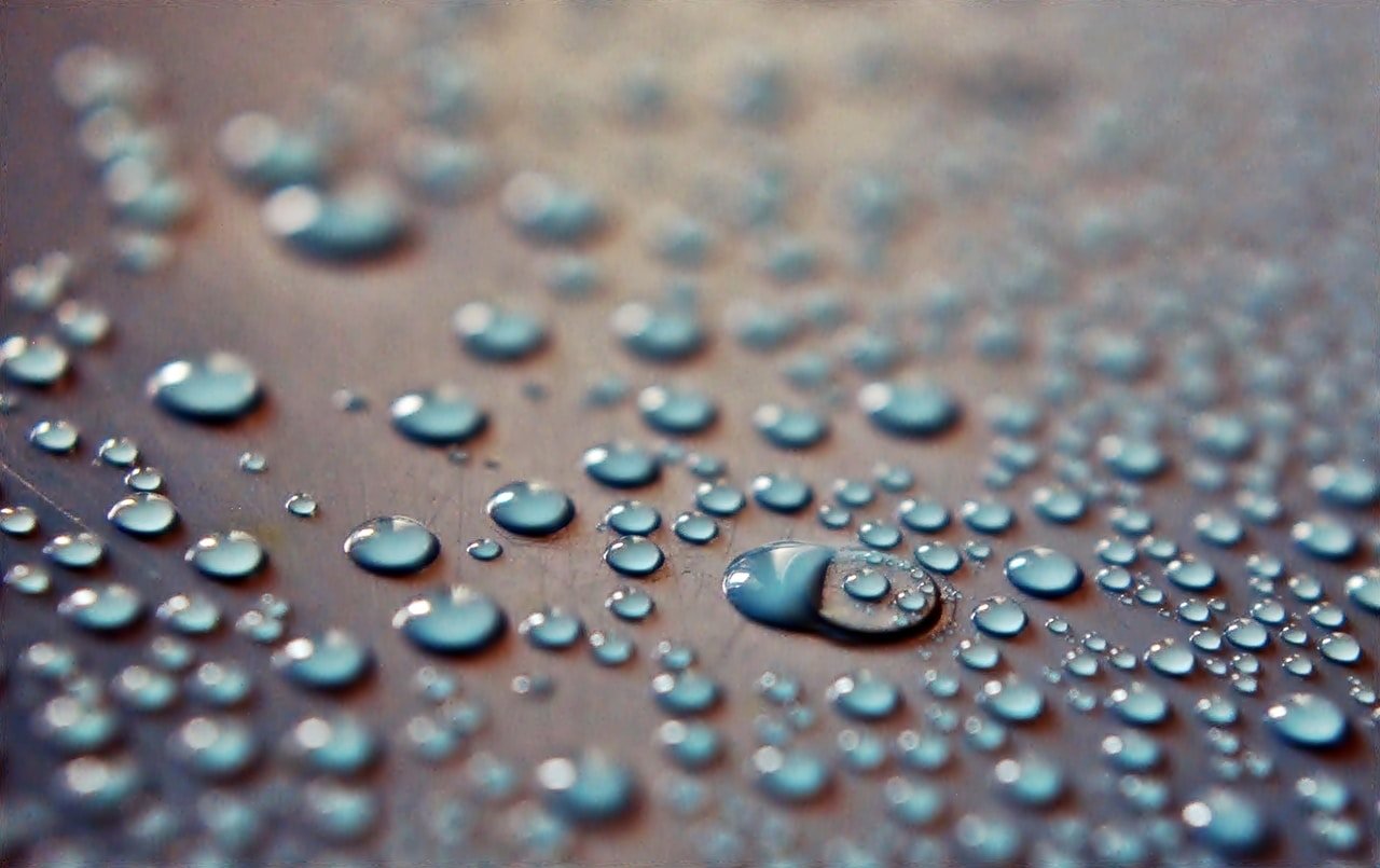Image Source: unsplash / nithyaramanujam