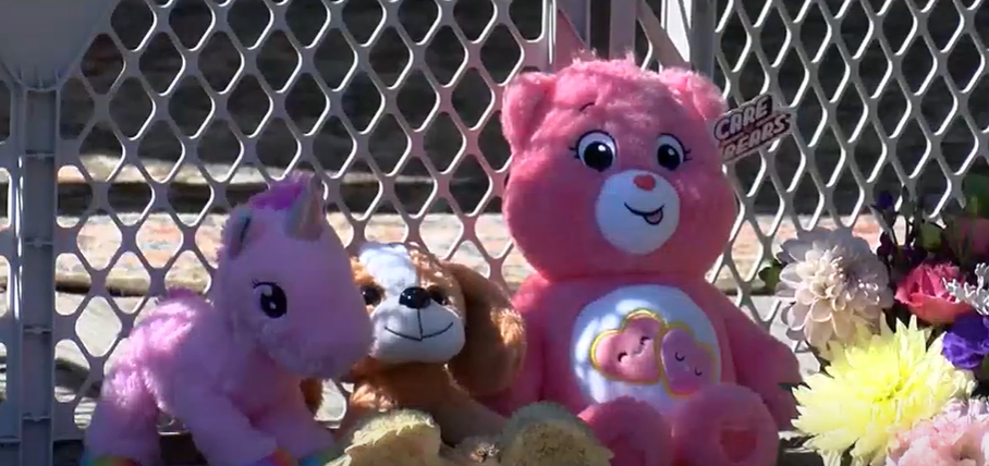 Stuffed animals and flowers outside the family's home, as seen in a video dated September 20, 2024 | Source: YouTube/ABC21 WPTA