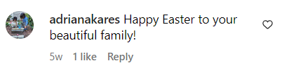 A fan's comment on Ryan Urich's Easter Holiday post of his family on April 10, 2023 | Source: Instagram/ryanmurich
