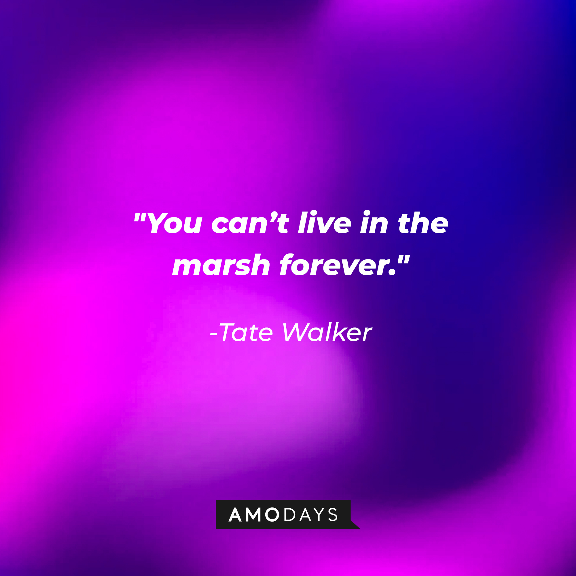 Tate Walker’s quote: “You can’t live in the marsh forever.” │Source: AmoDays