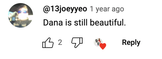A fan's comment about Dana Delany, dated April 2023. | Source: YouTube/LRM Online